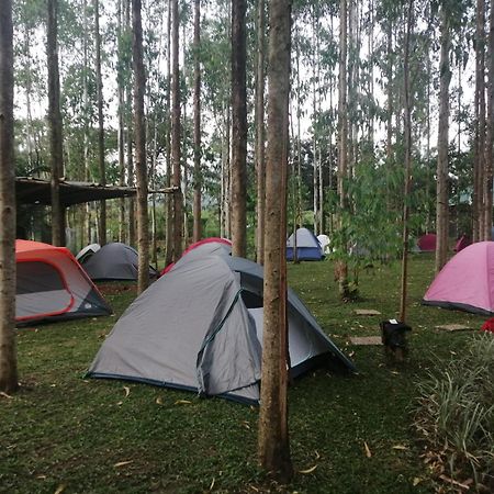 Murchison Backpackers Masindi Dış mekan fotoğraf