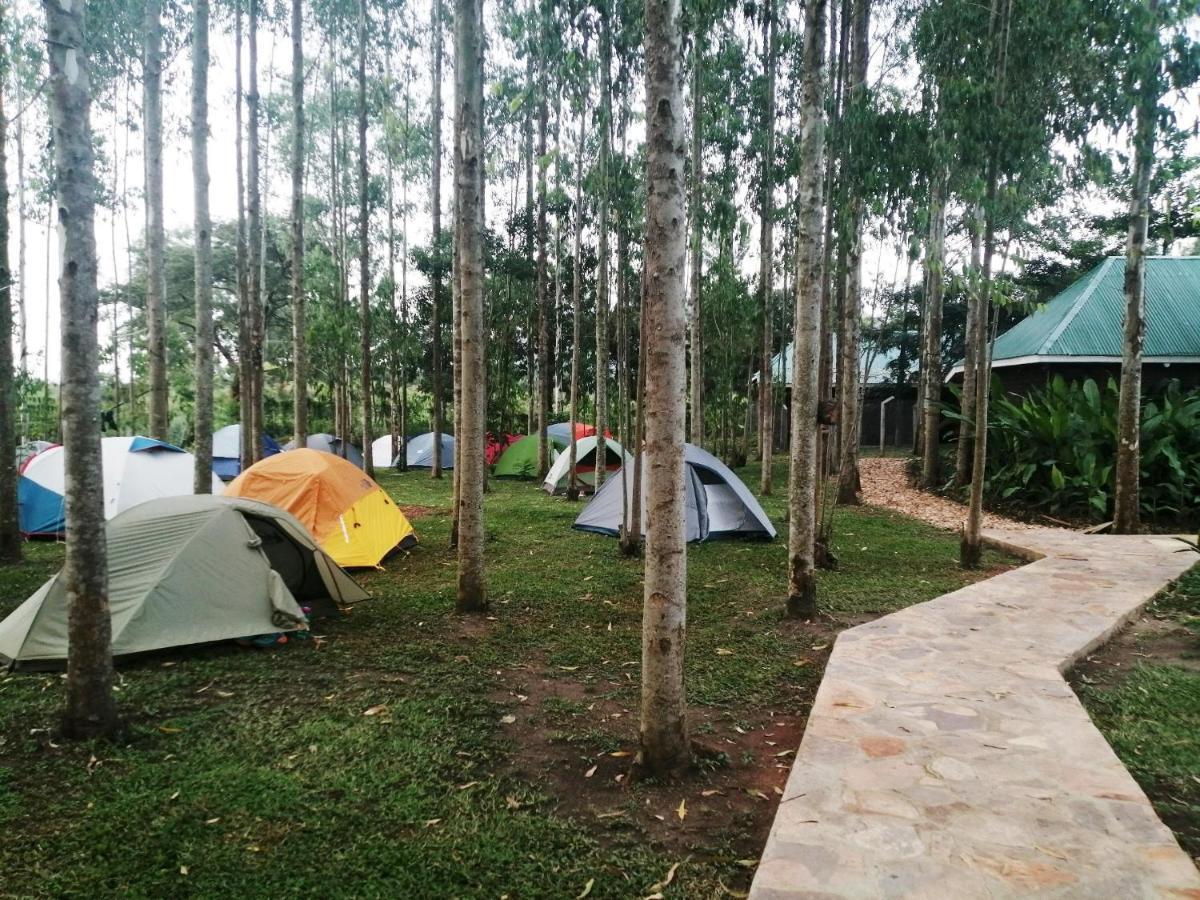 Murchison Backpackers Masindi Dış mekan fotoğraf
