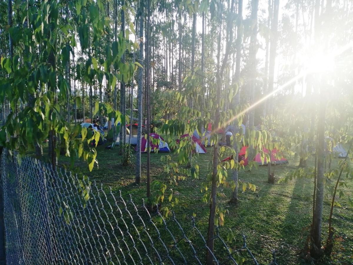 Murchison Backpackers Masindi Dış mekan fotoğraf