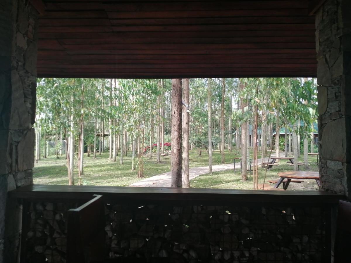 Murchison Backpackers Masindi Dış mekan fotoğraf