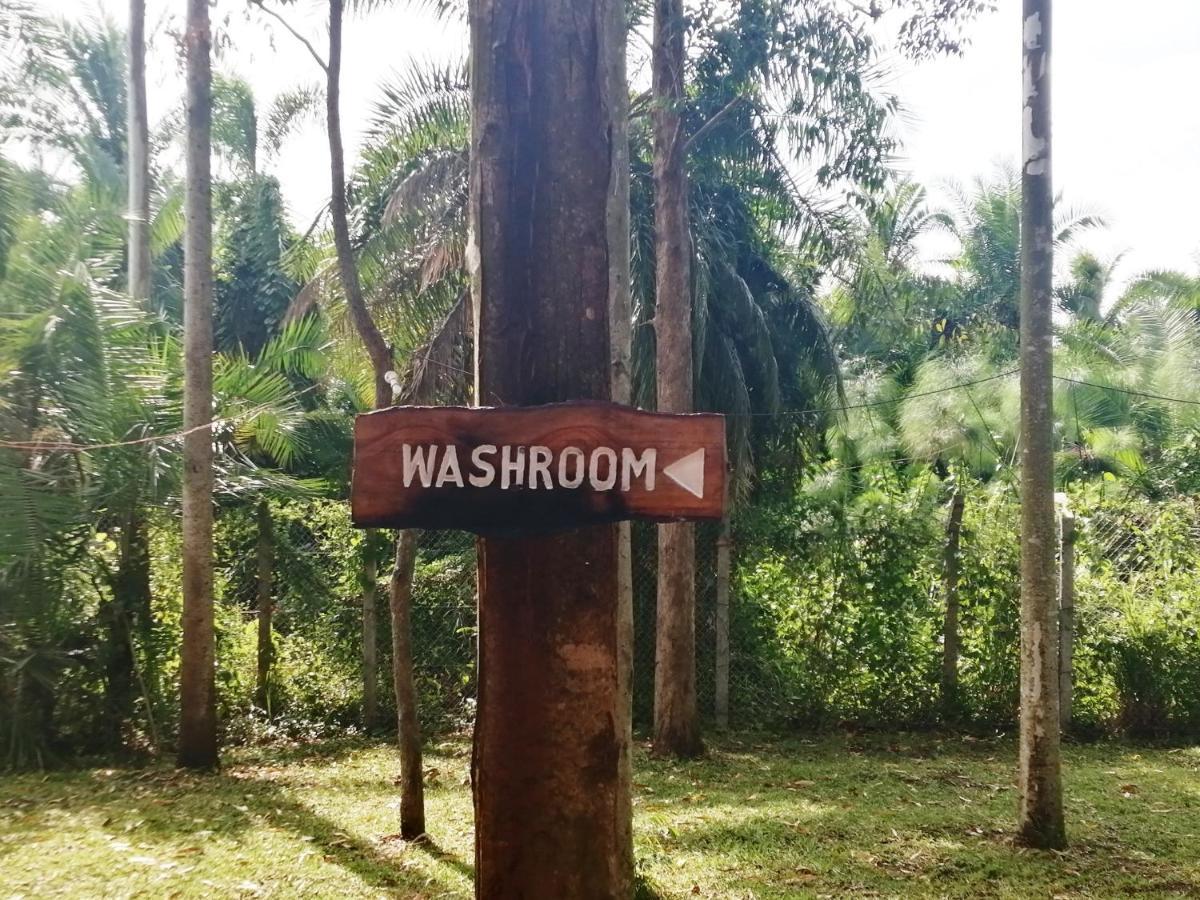 Murchison Backpackers Masindi Dış mekan fotoğraf
