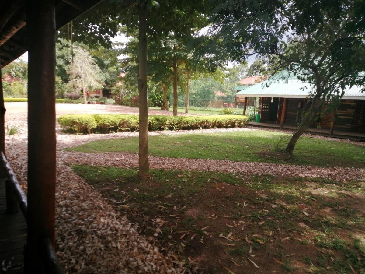 Murchison Backpackers Masindi Dış mekan fotoğraf