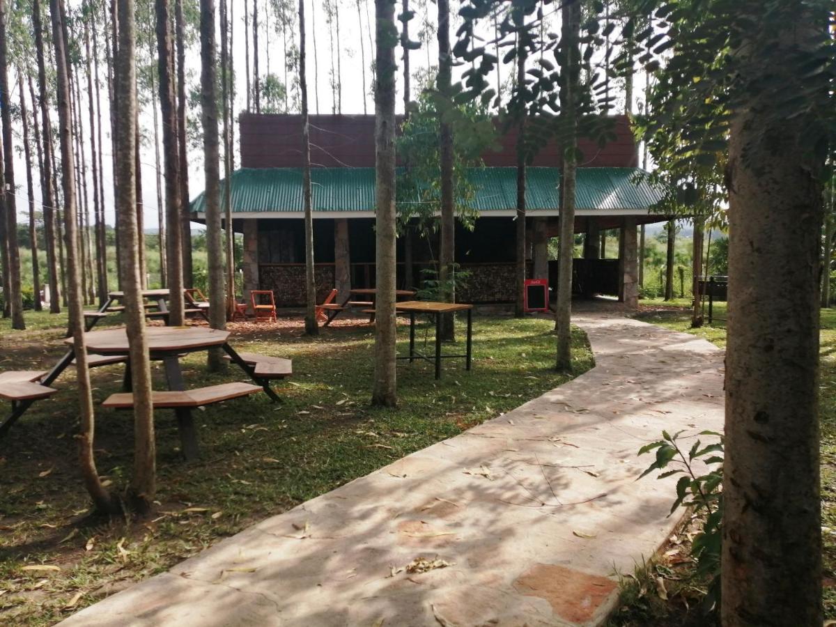 Murchison Backpackers Masindi Dış mekan fotoğraf