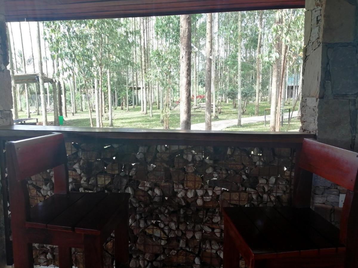 Murchison Backpackers Masindi Dış mekan fotoğraf