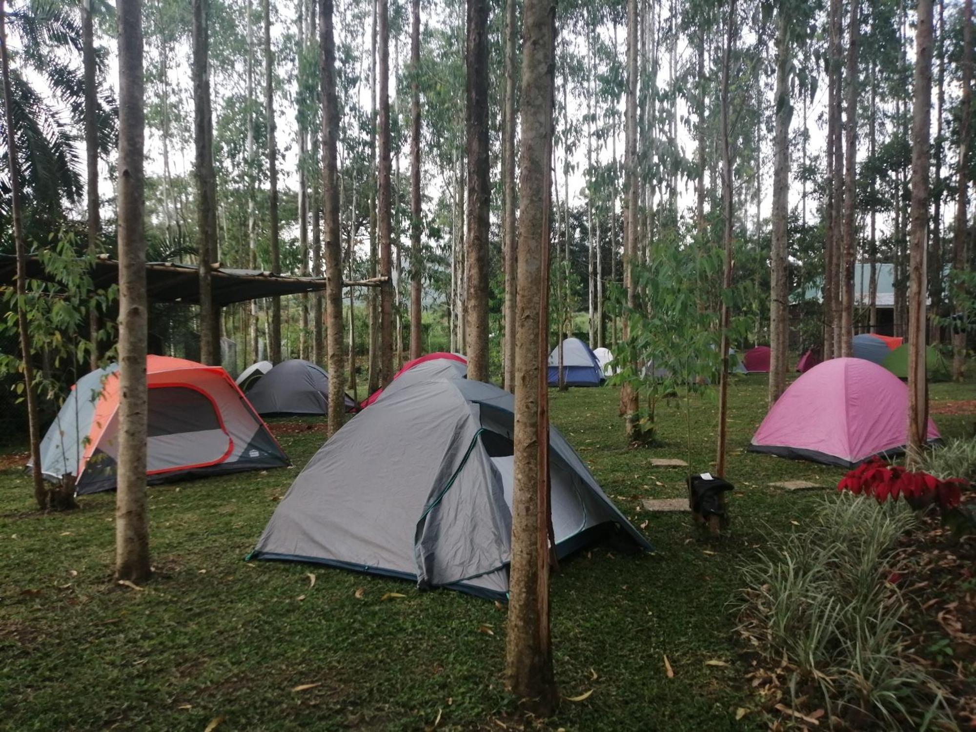 Murchison Backpackers Masindi Dış mekan fotoğraf