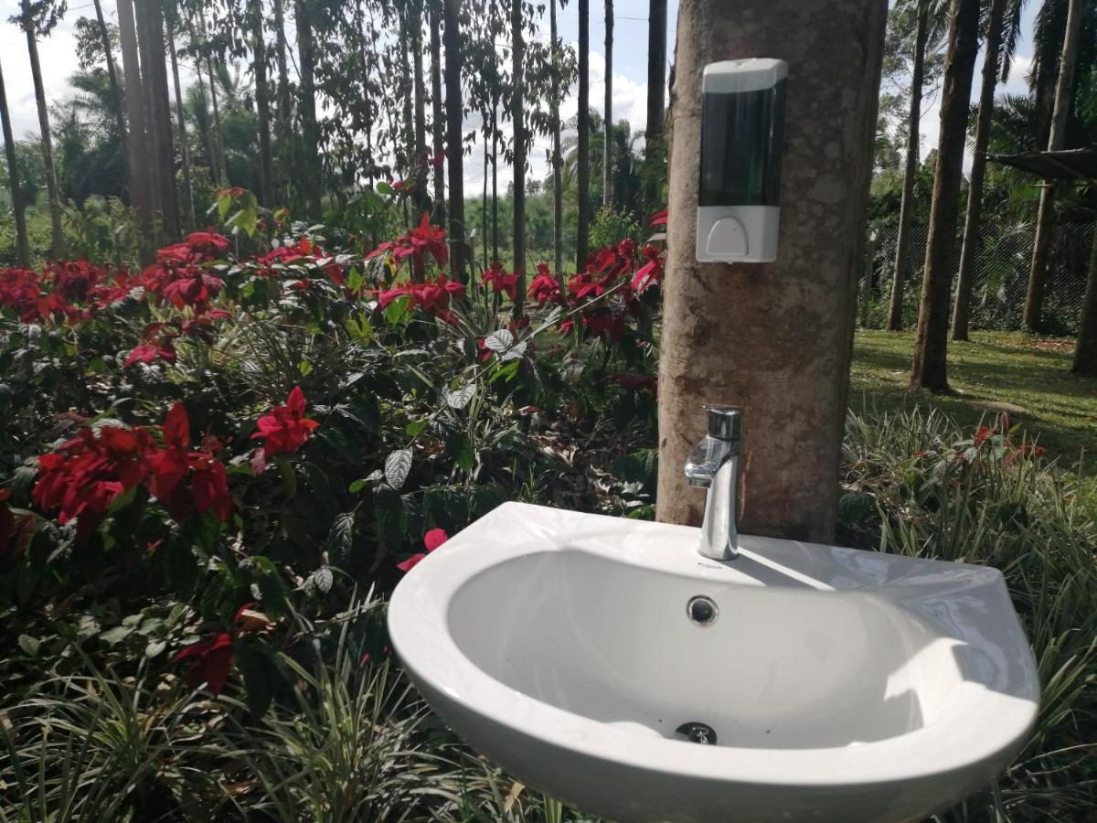 Murchison Backpackers Masindi Dış mekan fotoğraf